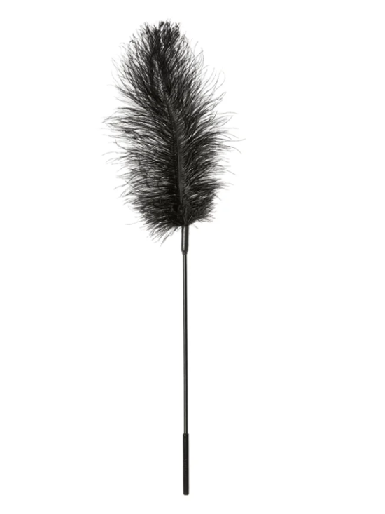 Ostrich Tickler, Black