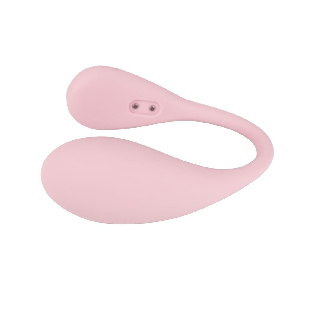 Spot - Image 2