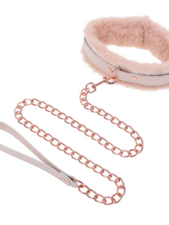 Collars & Leashes
