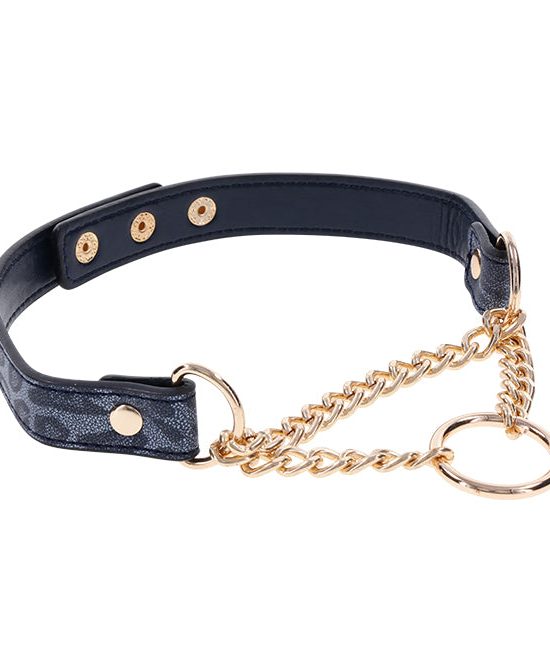 Cougar Day Collar