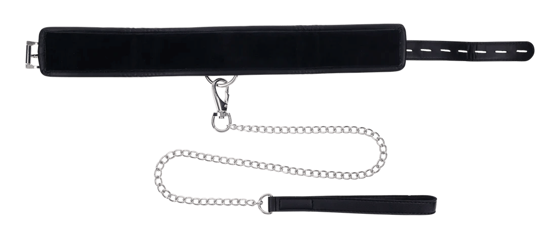 Edge Collar & Leash - Image 4